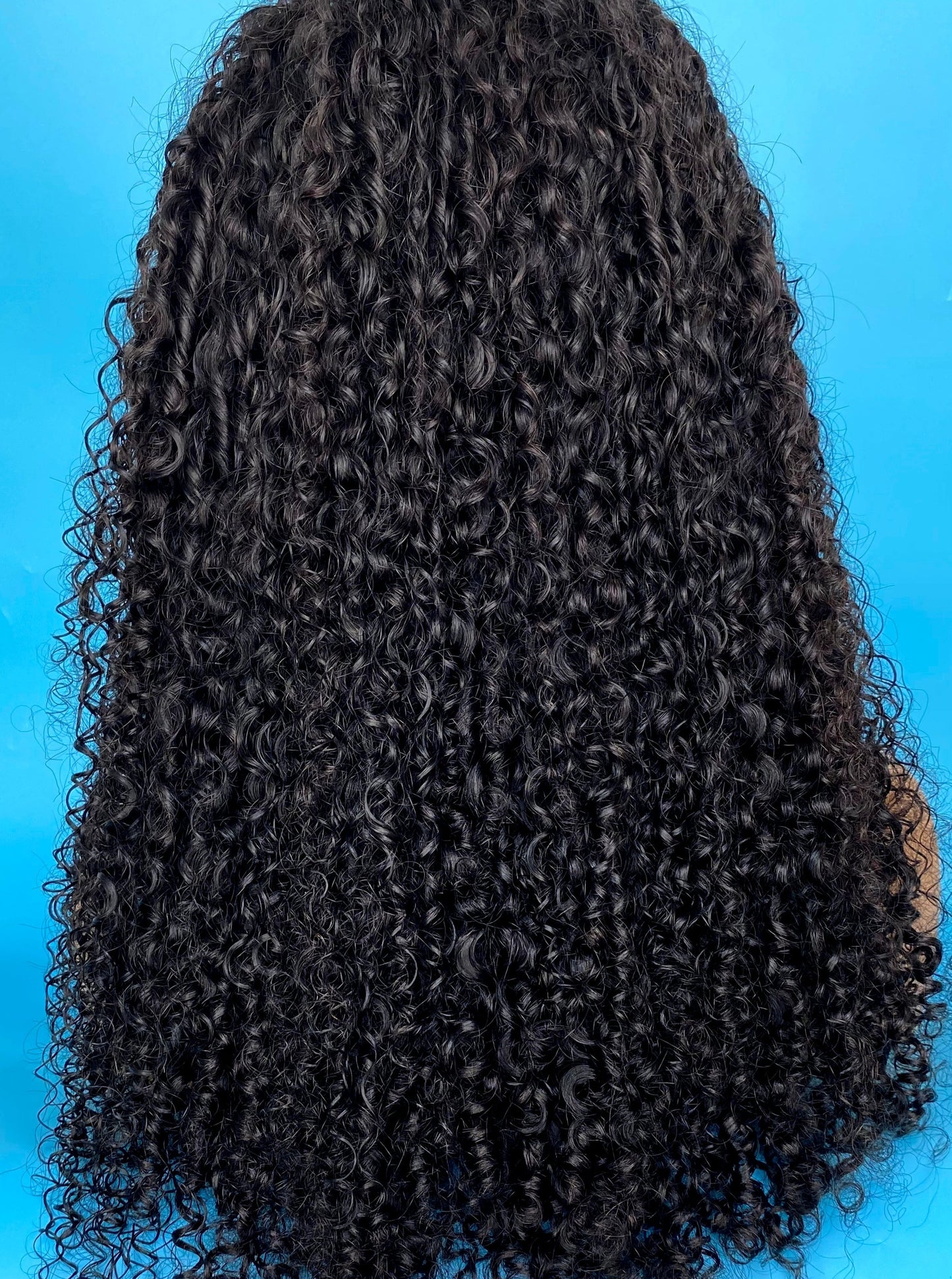 Cambodian Curly Clear HD Lace Wig